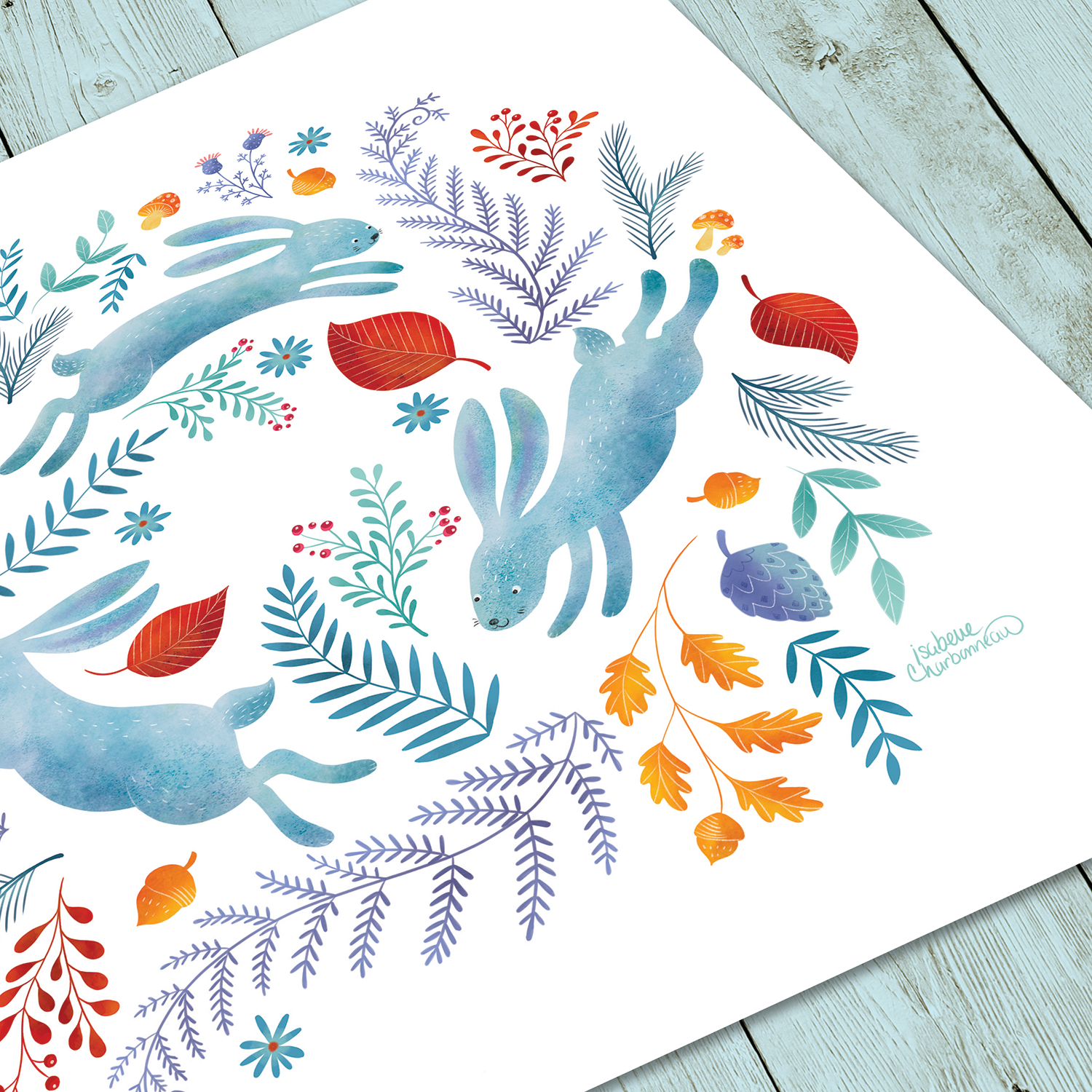 Les lapins de la forêt - Isabelle Charbonneau illustrations