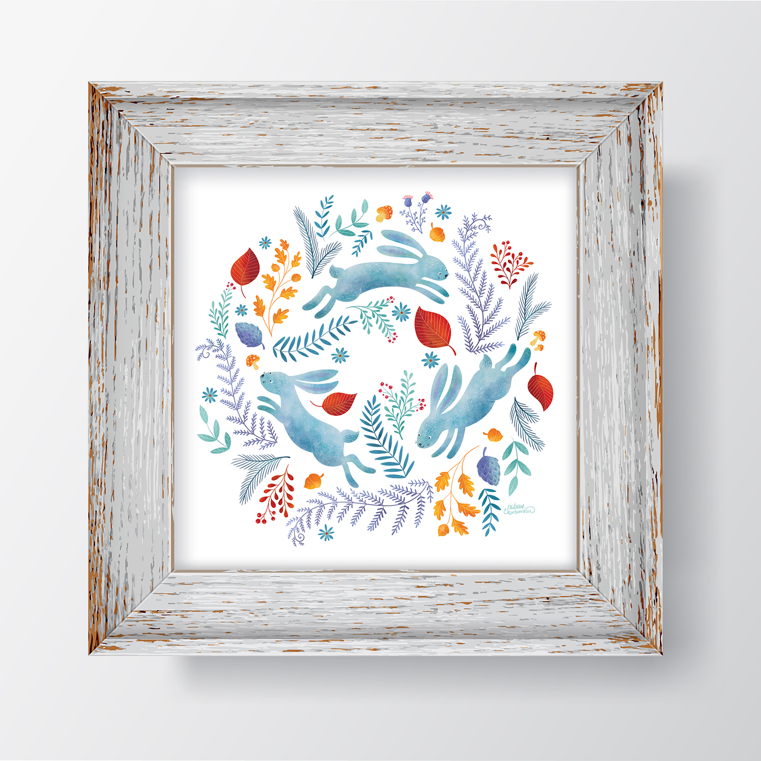 Les lapins de la forêt - Isabelle Charbonneau illustrations