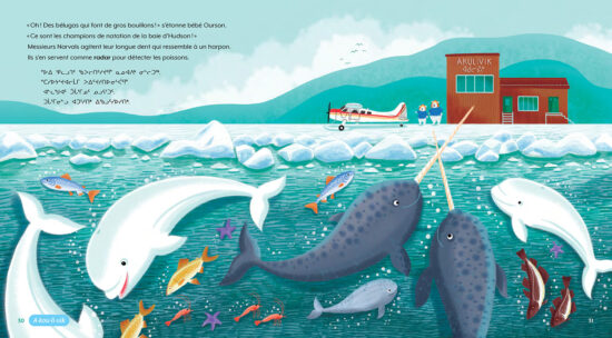 Page de l’album pour enfant Le p’tit avion du Nunavik avec une illustration d’Isabelle Charbonneau de narvals et de bélugas dans la Baie d’Hudson près de l’aéroport d’Akulivik.