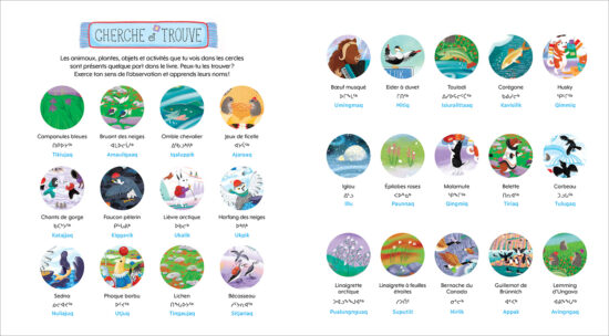 Page de l’album pour enfant Le p’tit avion du Nunavik qui présente un Cherche et trouve des animaux et de la flore du Nunavik, illustrés par Isabelle Charbonneau.